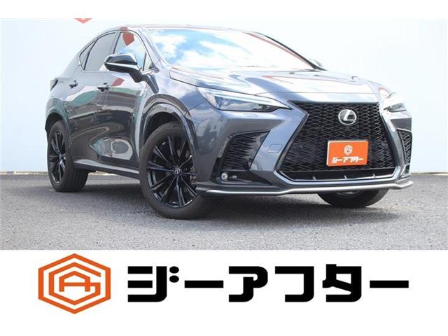 2021 Lexus NX