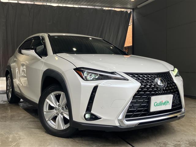 2019 Lexus UX