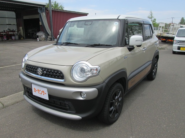 2019 Suzuki XBEE