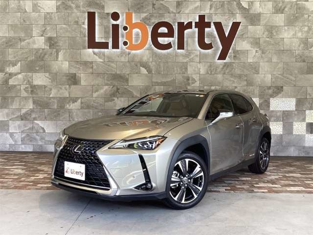 2020 Lexus UX