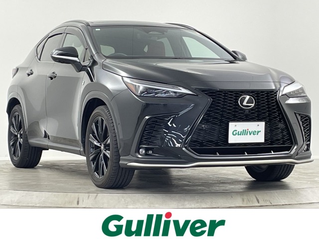 Lexus NX 1