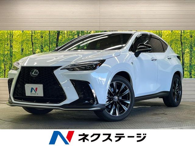 Lexus NX 1