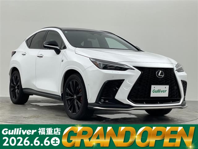 Lexus NX 1