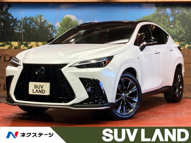 Lexus NX 1