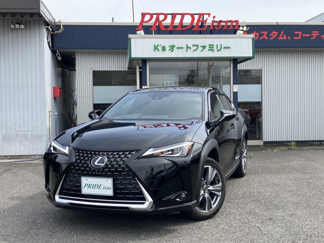 2022 Lexus UX300e