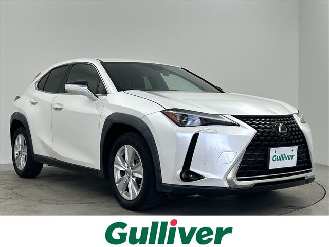 2019 Lexus UX