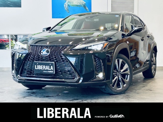 2019 Lexus UX