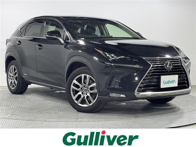 2019 Lexus NX