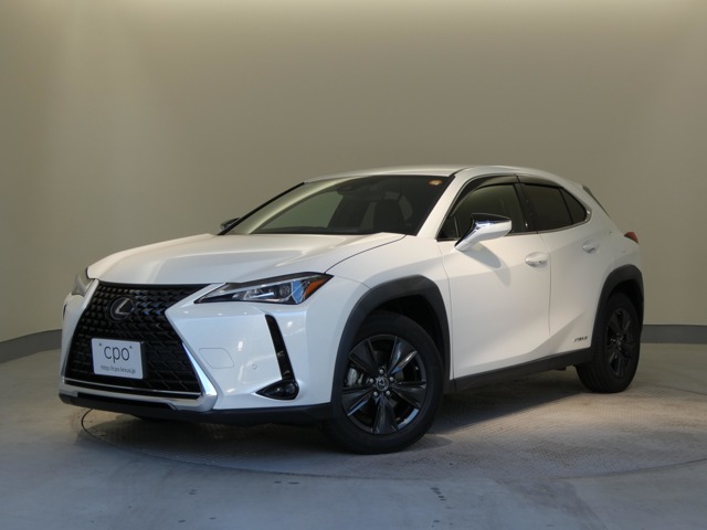 2020 Lexus UX