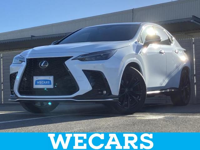 Lexus NX 1
