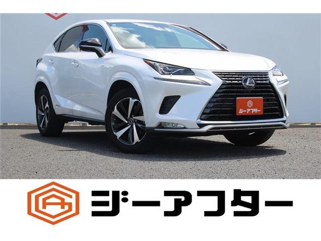 Lexus NX 1