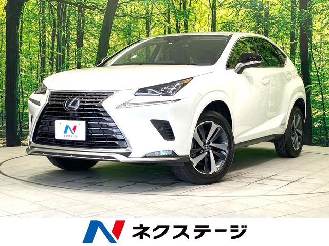 2021 Lexus NX