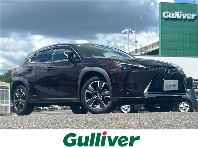 2020 Lexus UX