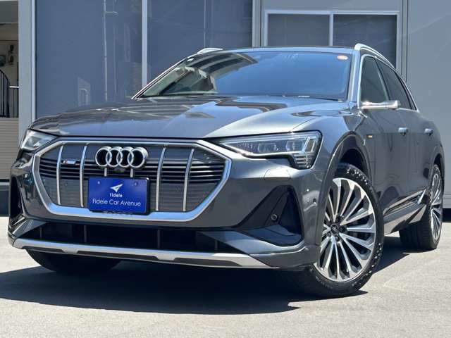 Audi e-tron 1