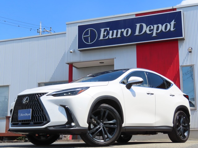 2023 Lexus NX
