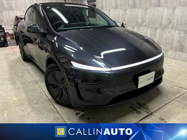 Tesla Model Y 1