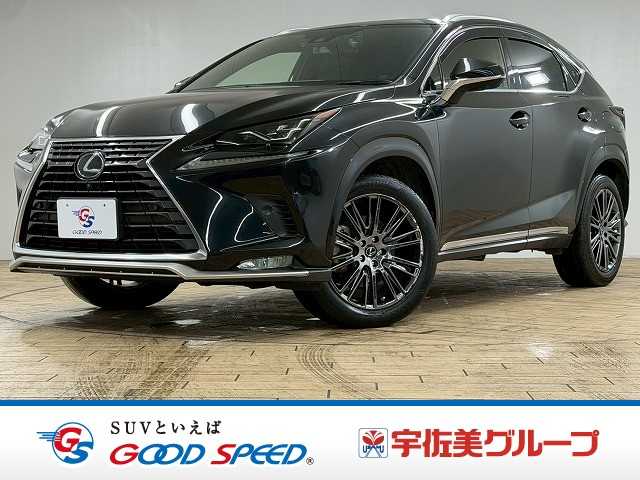 2020 Lexus NX