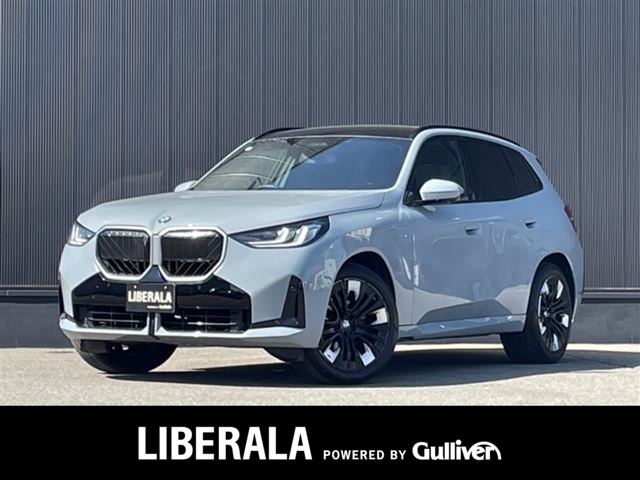 2024 BMW X3