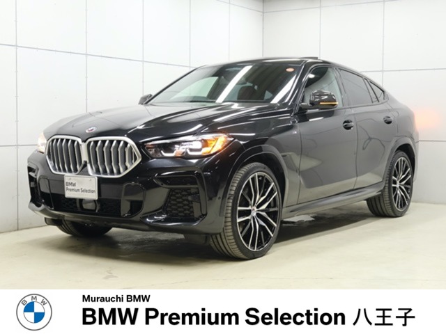 BMW X6 1
