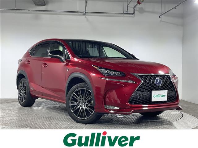 Lexus NX 1