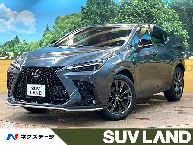 Lexus NX 1