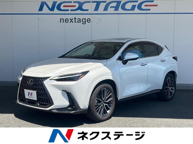 2025 Lexus NX
