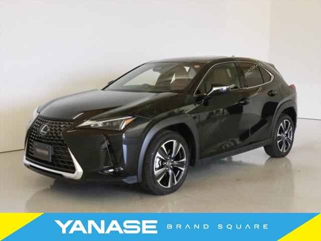 2024 Lexus UX