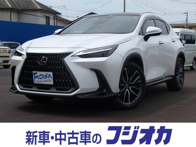 2024 Lexus NX