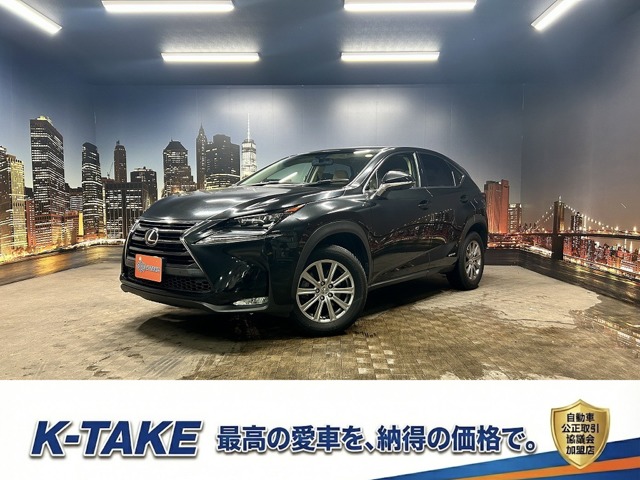 Lexus NX 1