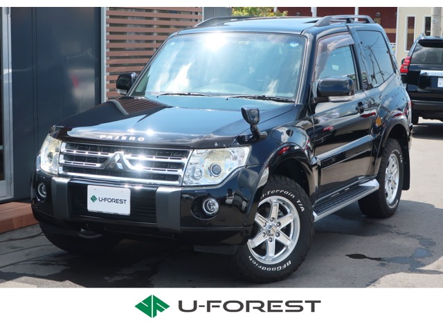 Mitsubishi Pajero 2