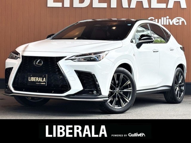 Lexus NX 1