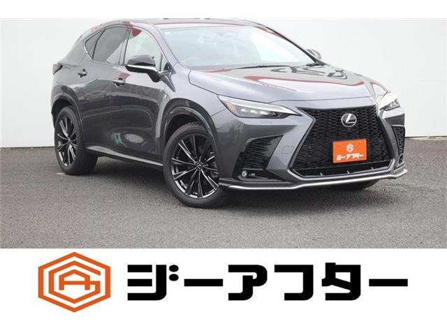 Lexus NX 1