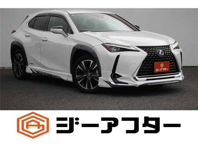 Lexus UX 1