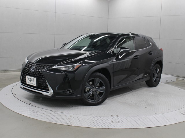2021 Lexus UX