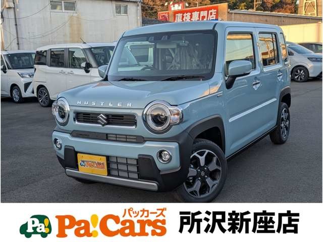 Suzuki Hustler 1