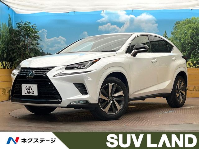 2018 Lexus NX