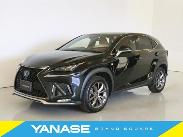 2019 Lexus NX