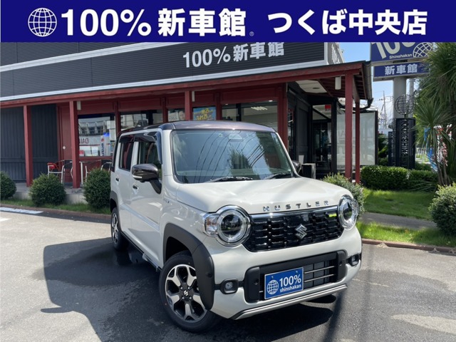 Suzuki Hustler 1