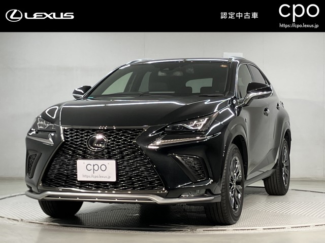 2021 Lexus NX