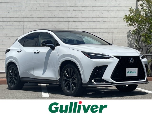 2024 Lexus NX