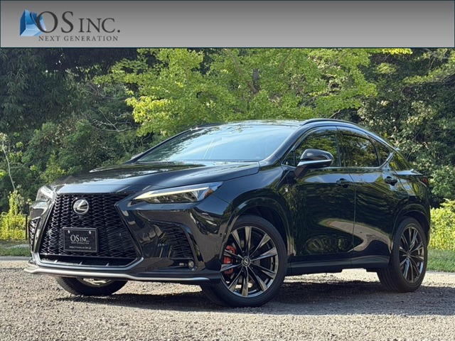 Lexus NX 1