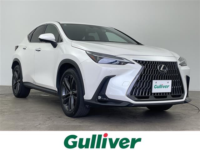 2022 Lexus NX