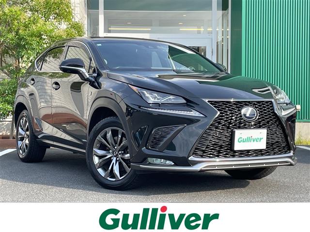 2018 Lexus NX
