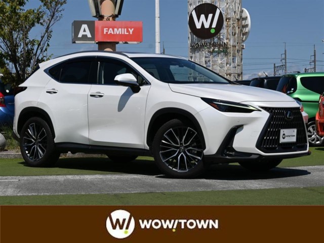 Lexus NX 1