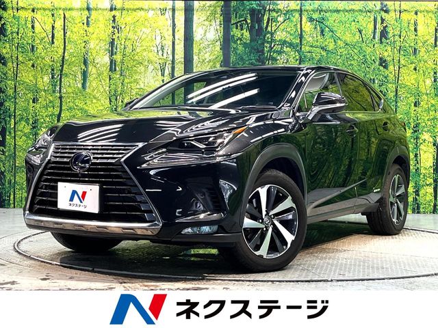 2019 Lexus NX