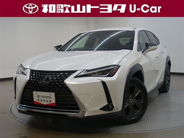 2019 Lexus UX