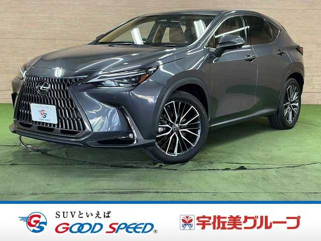 Lexus NX 1