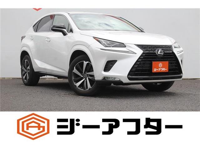 2019 Lexus NX