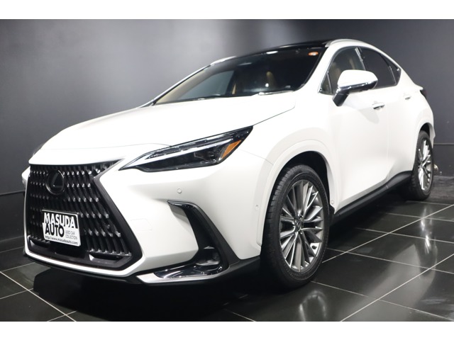 Lexus NX 1