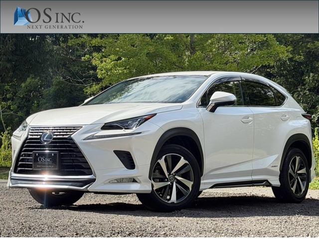 2018 Lexus NX